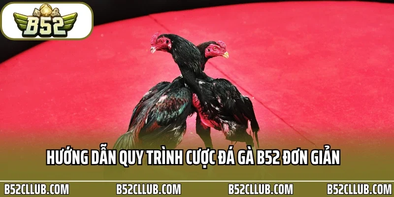 Hướng dẫn quy trình cược đá gà B52 đơn giản